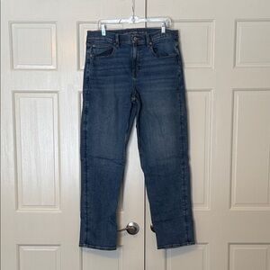 American Eagle Outfitters 90s Straight Jeans